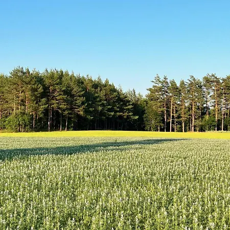 Casa Kashubia - Nowoczesny Nad Jeziorem - Cisza Natura I Komfort