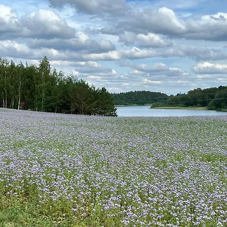 Casa Kashubia - Kaszuby Nad Jeziorem I Cisza Natura I Luksus Nyaraló Brzeźno Szlacheckie