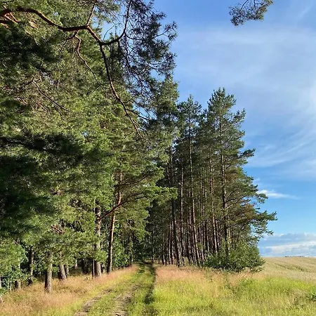 Nyaraló Casa Kashubia - Kaszuby Nad Jeziorem I Cisza Natura I Luksus Brzeźno Szlacheckie