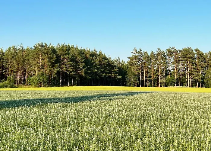 Casa Kashubia - Nowoczesny Nad Jeziorem - Cisza Natura I Komfort