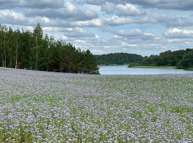 Casa Kashubia - Nowoczesny Nad Jeziorem - Cisza Natura I Komfort Semesterbostad Brzezno Szlacheckie