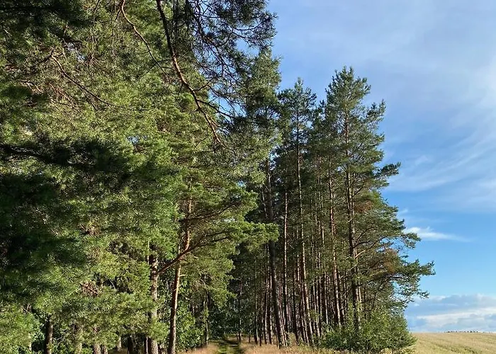 Semesterbostad Casa Kashubia - Nowoczesny Nad Jeziorem - Cisza Natura I Komfort Brzezno Szlacheckie